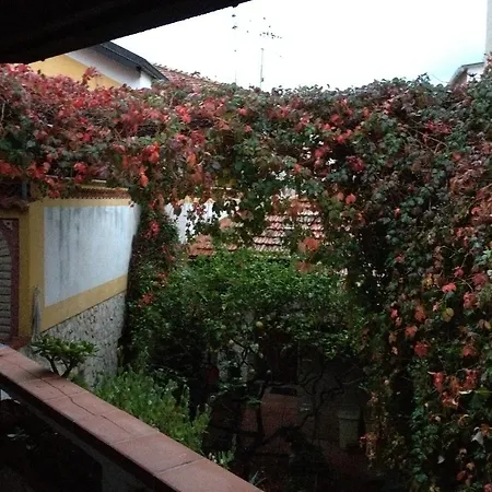 Bed & Breakfast La Villa San Giovanni
